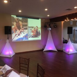 Throw Yo Hands Up Entertainment DJ & Photo Booth Service projector screen video wedding family photos golf course Throw Yo Hands Up Entertainment