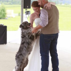 Throw Yo Hands Up Entertainment DJ & Photo Booth Near Me Aaron Helber Wedding School Dance Prom Party Ann Arbor Manchester Clinton Dexter Chelsea Adrian Tecumseh Saline Ypsilanti Brooklyn Jackson Milan Throw Yo Hands Up Entertainment