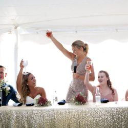 Toast Speech Best man Maid Matorn Of Honor Throw Yo Hands Up Entertainment DJ & Photo Booth Near Me Aaron Helber Wedding School Dance Prom Party Ann Arbor Manchester Clinton Dexter Chelsea Adrian Tecumseh Saline Ypsilanti Brooklyn Jackson Milan Throw Yo Hands Up Entertainment