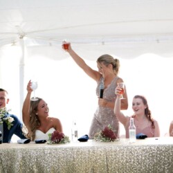 Toast Speech Best man Maid Matorn Of Honor Throw Yo Hands Up Entertainment DJ & Photo Booth Near Me Aaron Helber Wedding School Dance Prom Party Ann Arbor Manchester Clinton Dexter Chelsea Adrian Tecumseh Saline Ypsilanti Brooklyn Jackson Milan Throw Yo Hands Up Entertainment